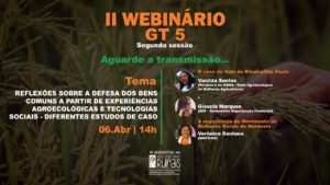II Webinário do GT 5 – Segunda Sessão 8