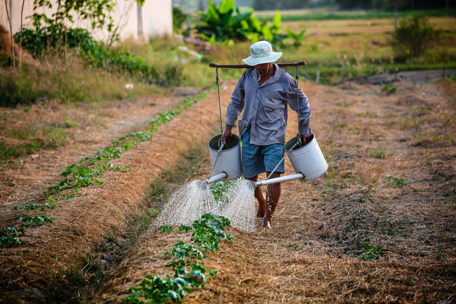 Crise hídrica e a mercantilização da água 5