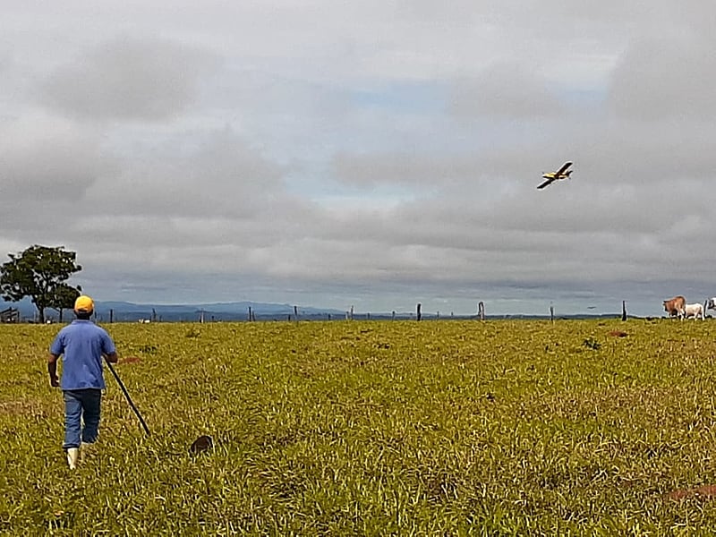 Agrotóxicos no Brasil: uma herança colonial e os desafios da resistência agroecológica 5