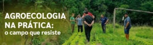 Agroecologia na prática: o campo que resiste 8