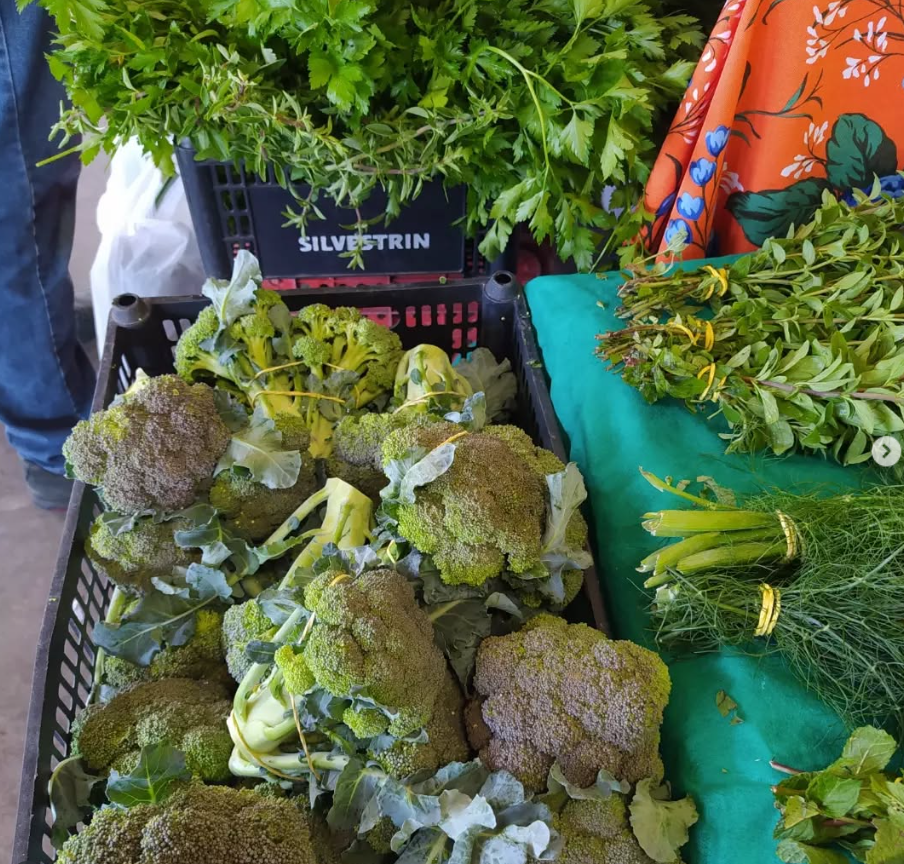 Agroecologia na prática: o campo que resiste 11 Captura de tela 2025-06-05 152921