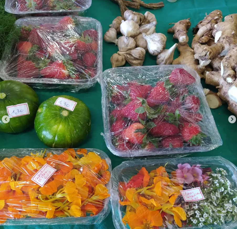 Agroecologia na prática: o campo que resiste 10 Captura de tela 2025-06-05 152929