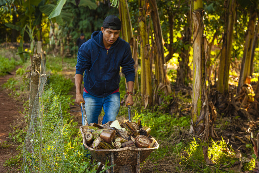 Agroecologia e Justiça Climática: a resposta vem da terra 2