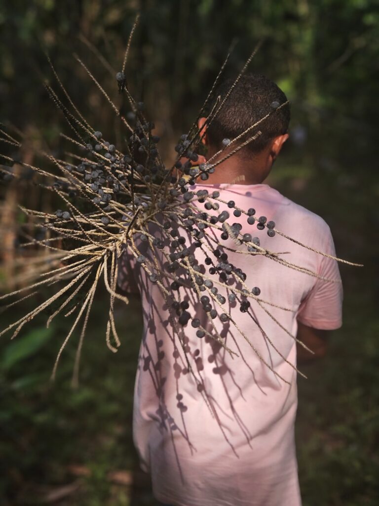 O futuro é plantado às margens 3