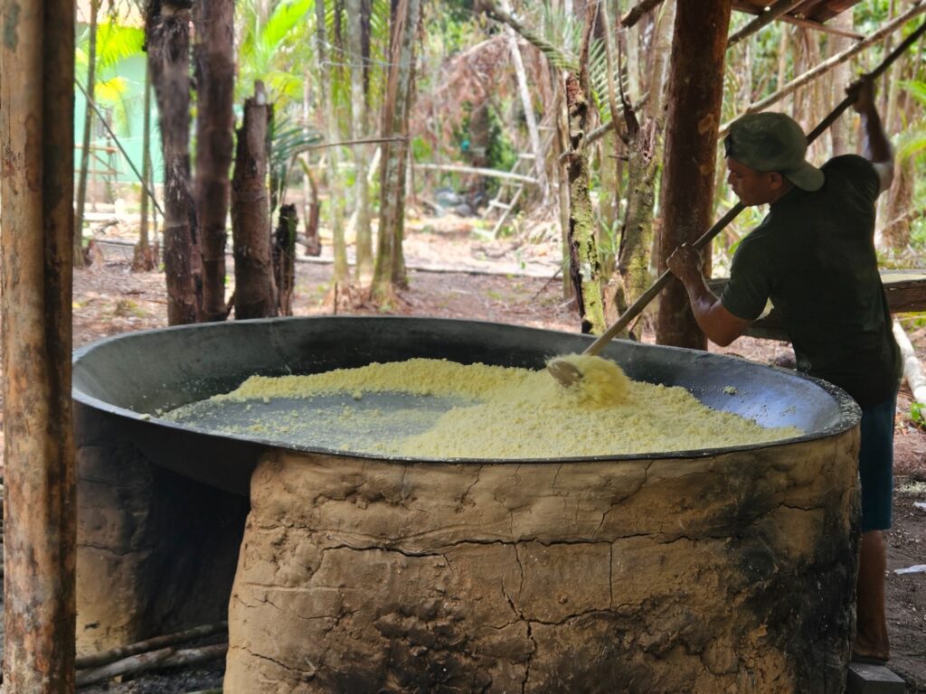 O futuro é plantado às margens 10