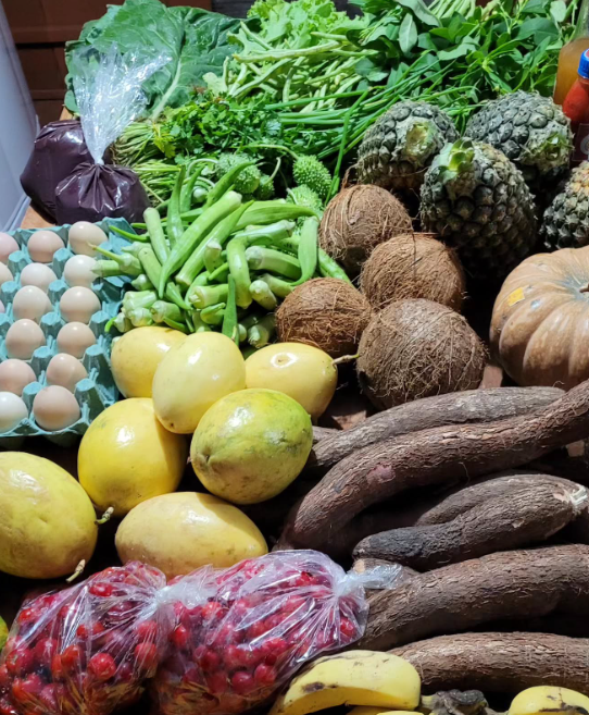 O futuro é plantado às margens 2