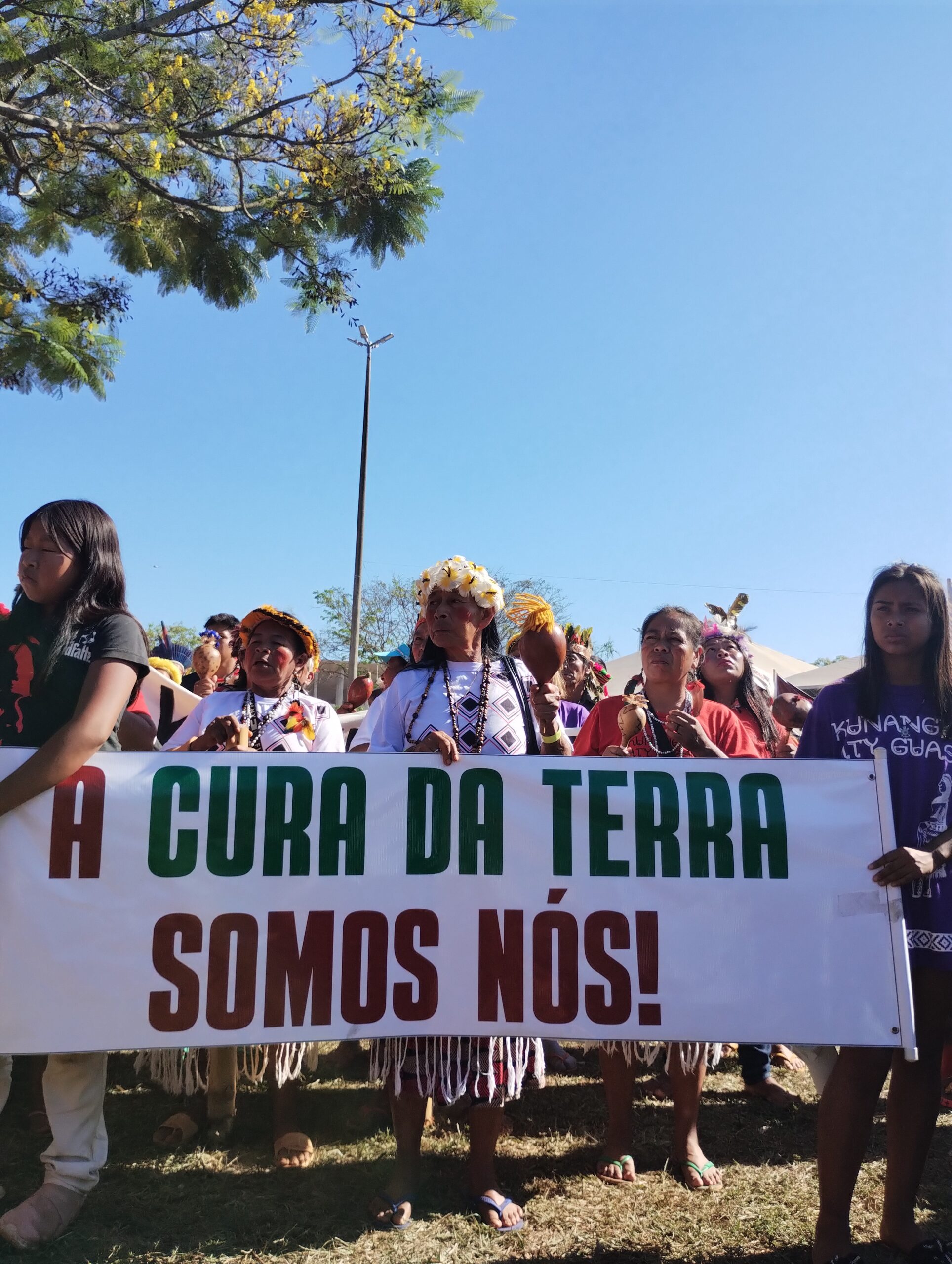 A pesquisa como veículo de ressonância do chamado da terra 1
