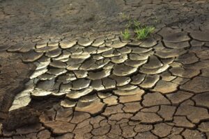 Seca, mudanças climáticas e agricultura familiar: monitoramento de riscos e construção de políticas públicas 7